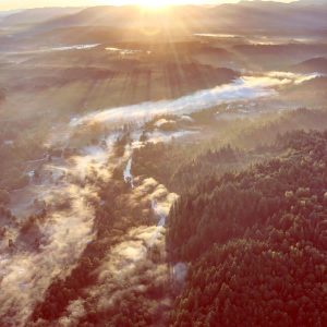 Sun rays hitting the thin layer of fog on the ground in Seattle. Beautiful view from a hot air balloon at sunrise