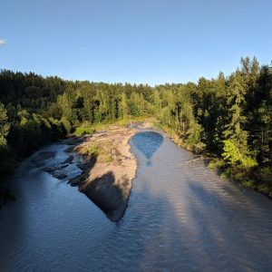 Shadow of a hot air balloon in the White River with pine trees at sunset in Buckley, WA
