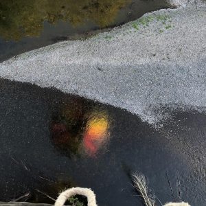 Reflection of a hot air balloon in the water of the Green River