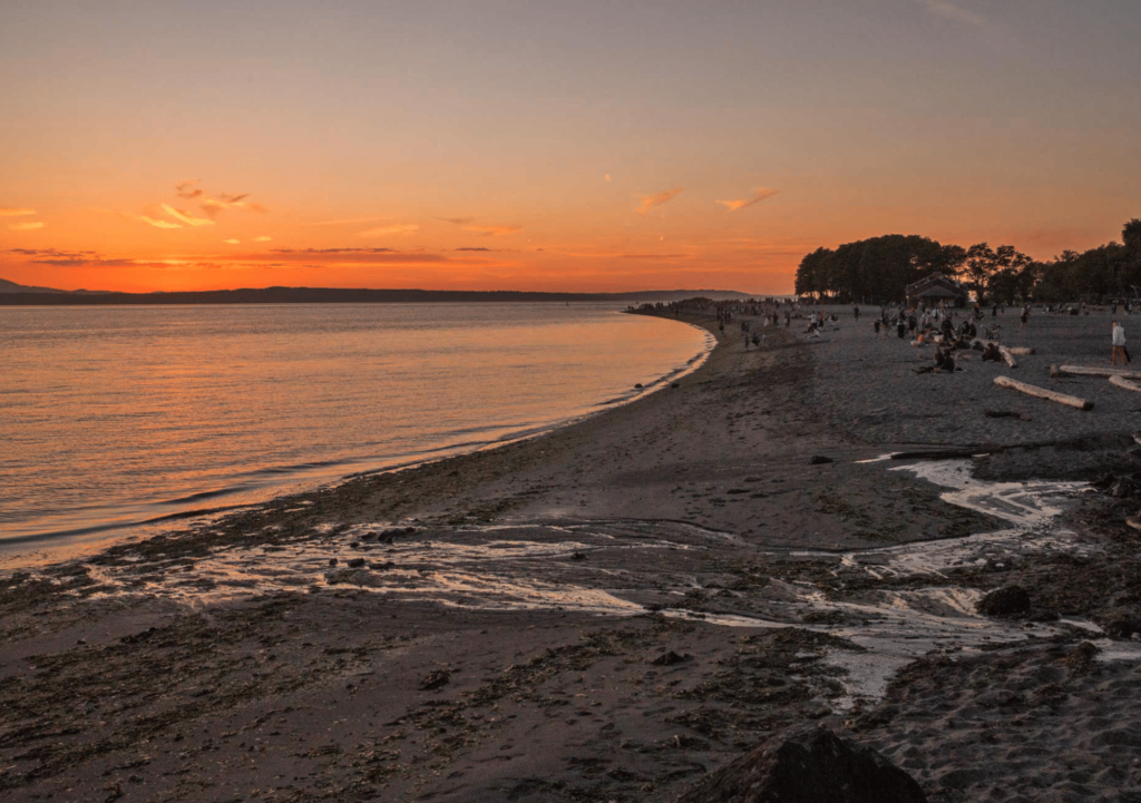 Golden Gardens