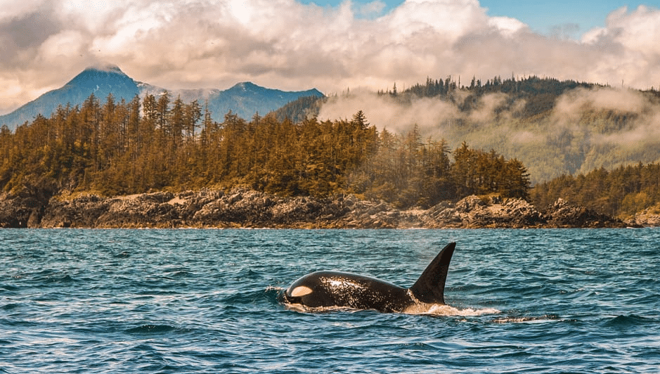 San Juans Island Seattle