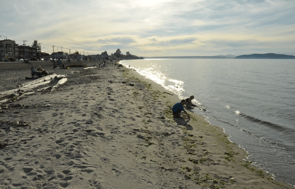Beach in Seattle
