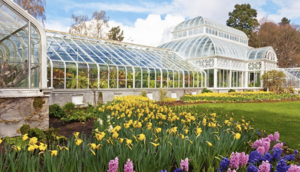 Volunteer park Conservatory